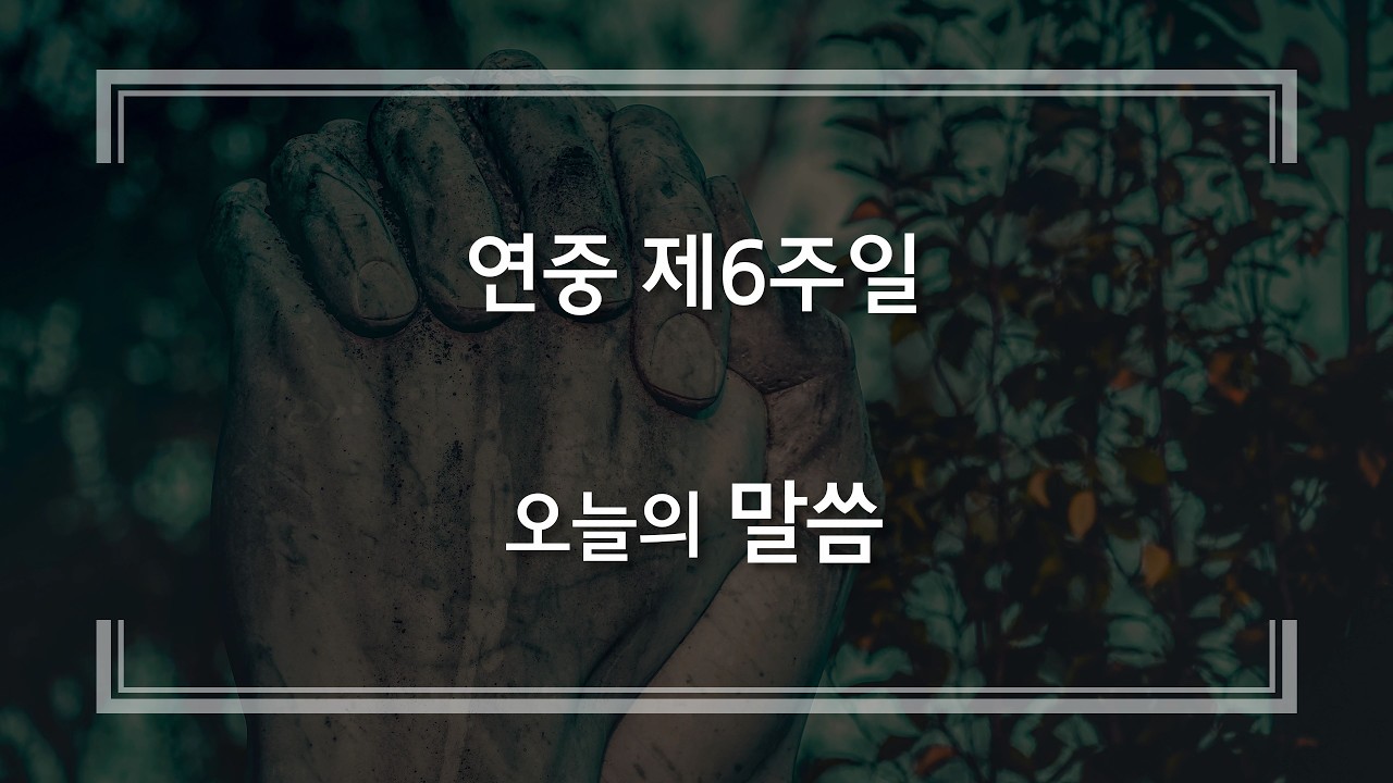 20260215 연중 제6주일