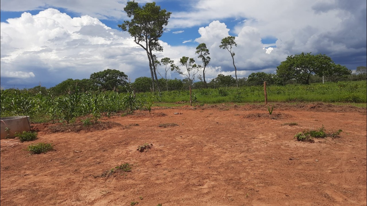 E Por Aqui o que não Falta e Serviço