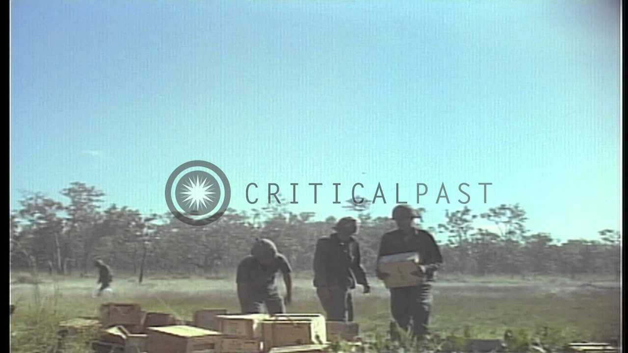 US 1st Air Cavalry Division soldiers evacuate wounded soldiers in Vietnamese jung...HD Stock Footage