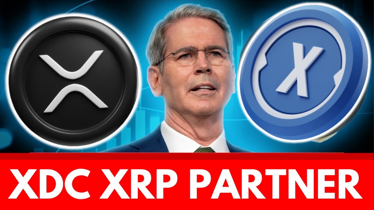 XDC и Ripple: партнеры раскрыты. Это меняет их навсегда.
