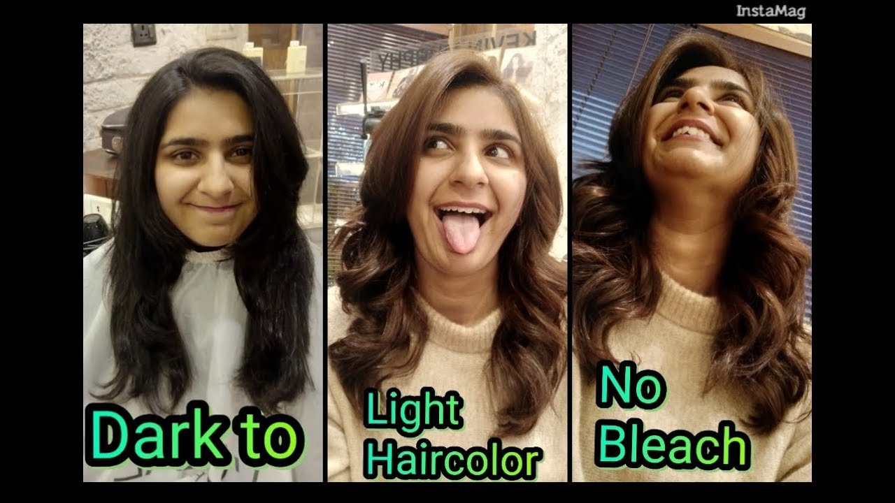 How to - dark to light haircolor tutorial l beginners | no bleach hair color | haircut expert Shyama