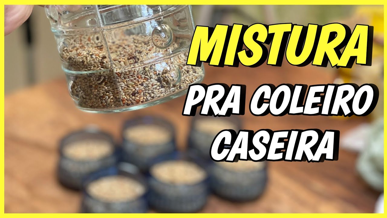 7 tipos de sementes milagrosa pra dar fogo e energia no coleiro e papacapim ( MISTURA CASEIRA )