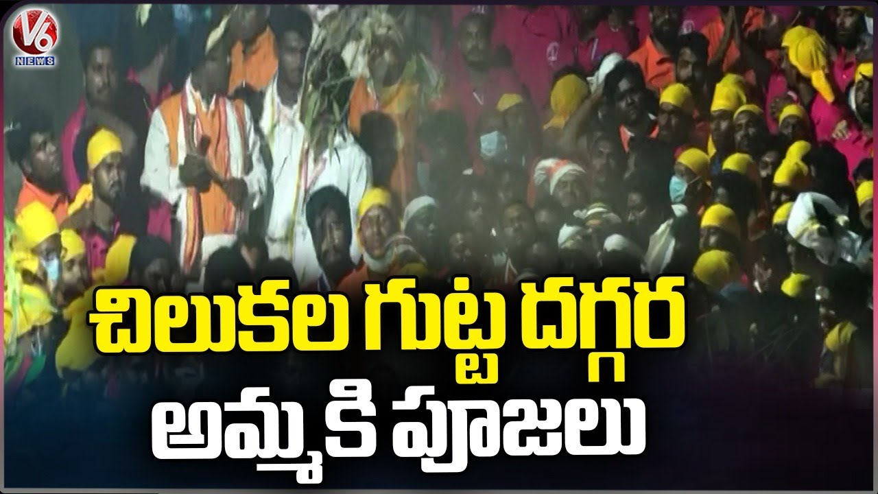 Priest  Prayers To Sammakka At Chilakalagutta | Medaram Jatara 2024 | V6 News