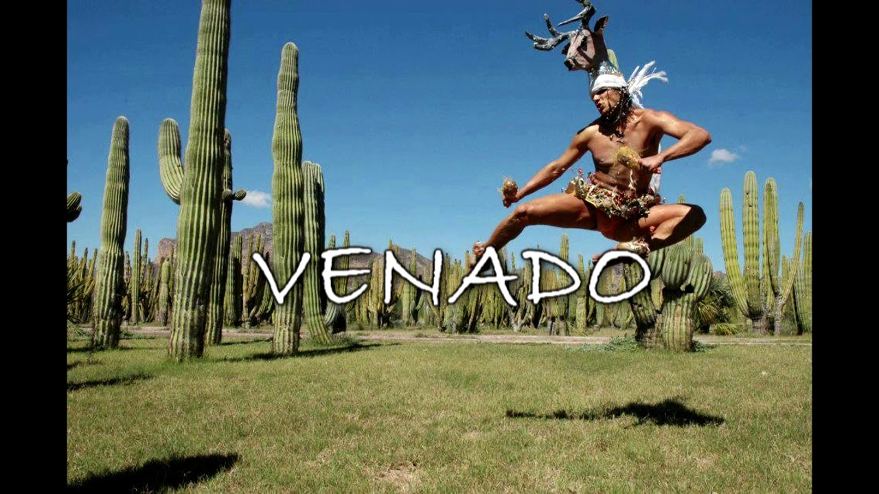 M&Uacute;SICA DE LA DANZA DEL VENADO