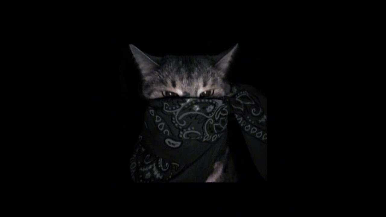 POV: They made you the villain.. |Edit audios| |+Timestamps|
