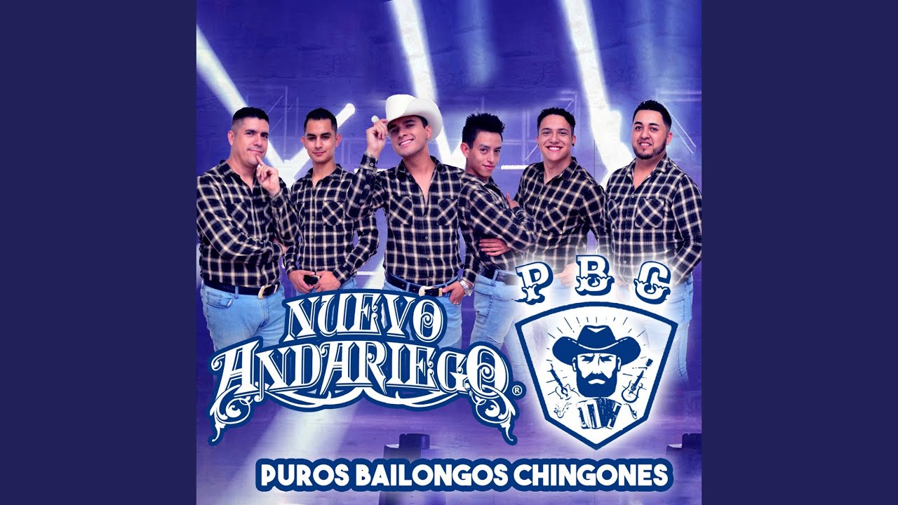 Puros Bailongos Chingones