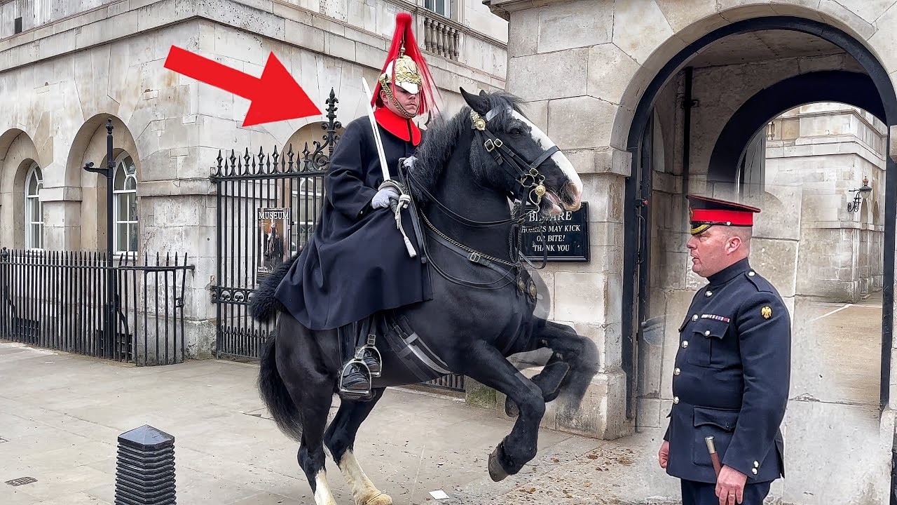 King's Horse is ANGRY and Commander Did this