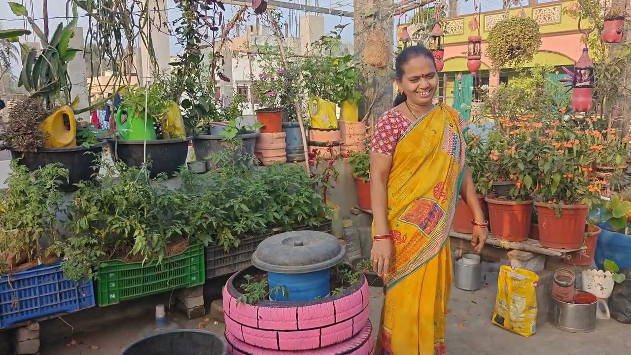 వేసవిలో  తీగజాతి మొక్కలను ఎలా కాపాడుకోవాలి