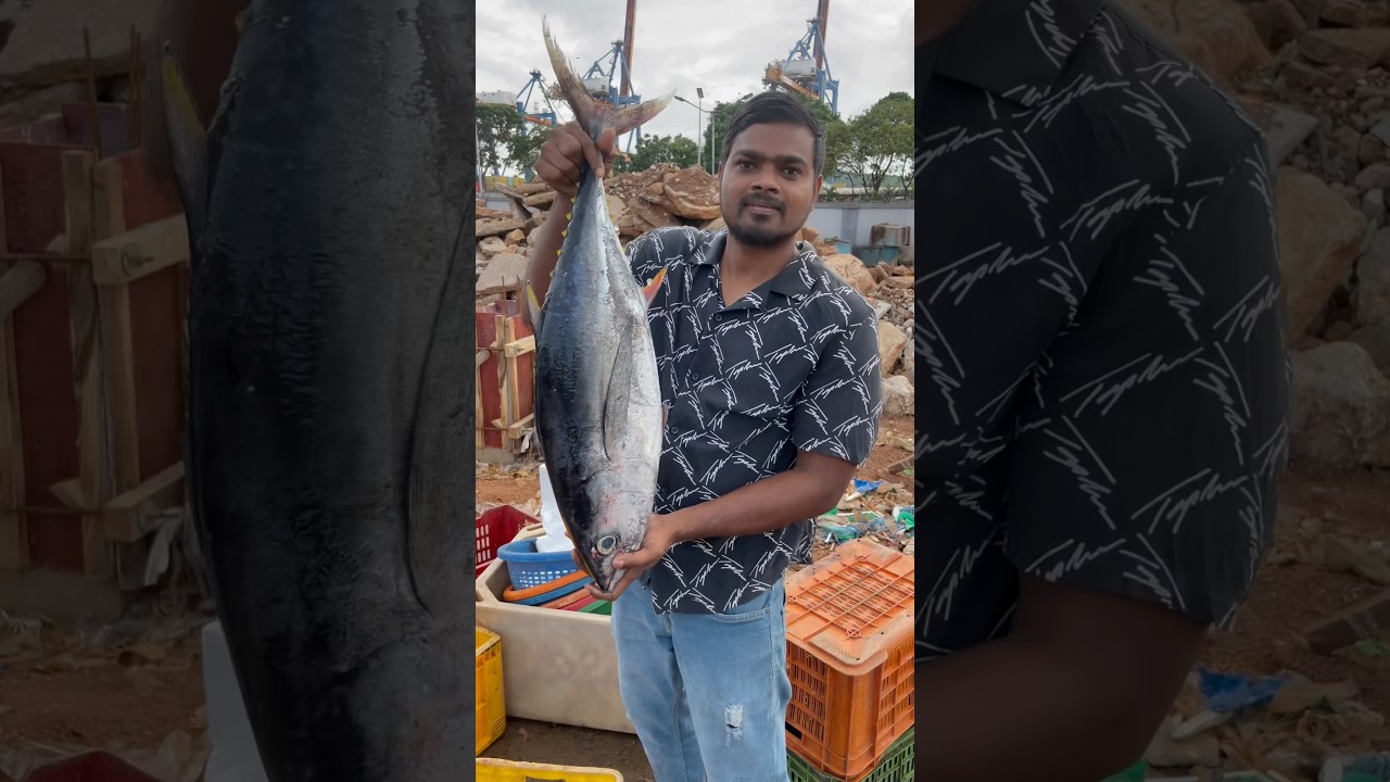 🐠Tuna fish's Peking 🐟#vizaghari #trending #viralshorts #trendingshorts