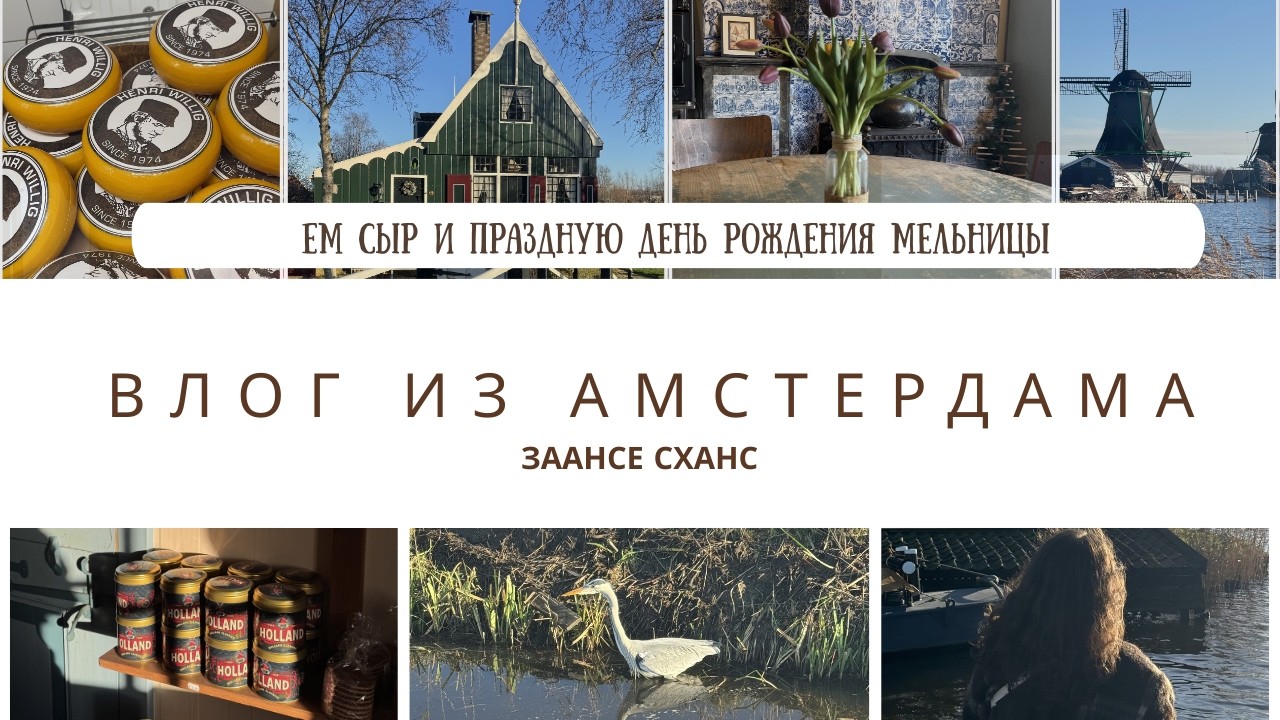 VLOG / День рождения мельницы/ Померила кломпы/ Заанский музей и сырный опыт/ Амстердам в декабре