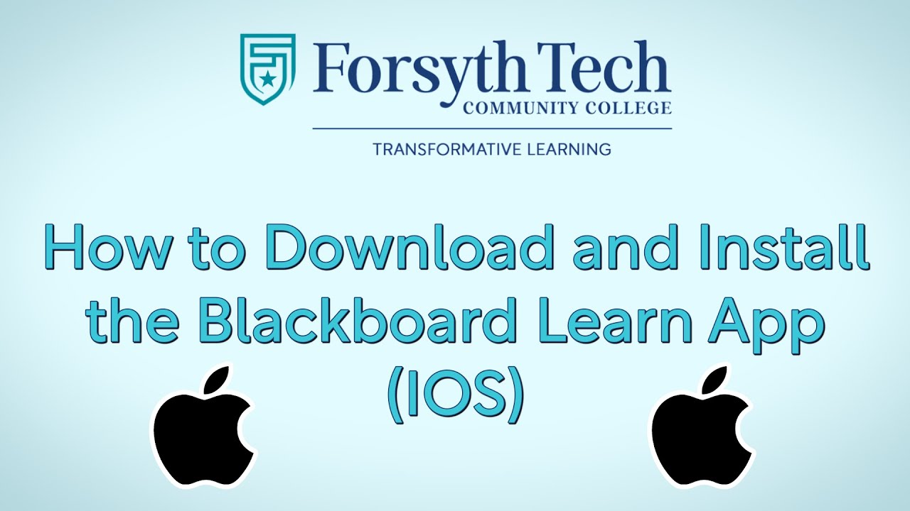 How to Download and Install the Blackboard Learn App (IOS)