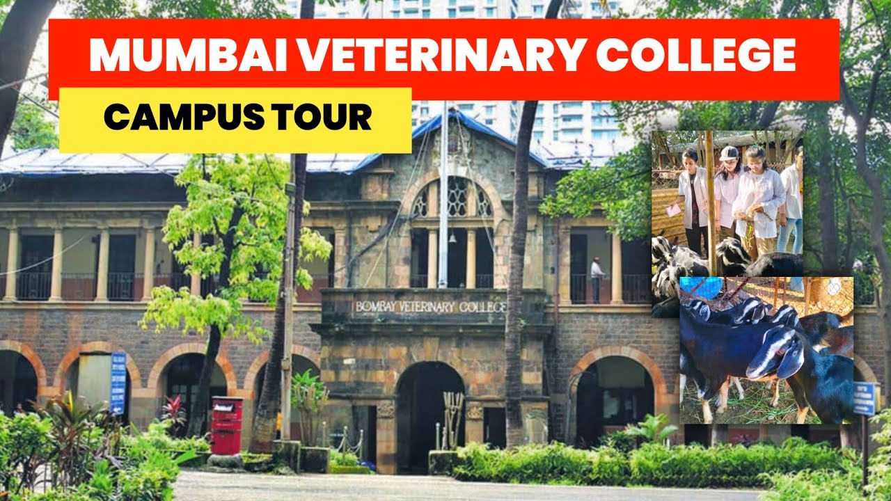 Bombay Veterinary College || Mumbai Veterinary College || Maharashtra veterinary college || MAFSU