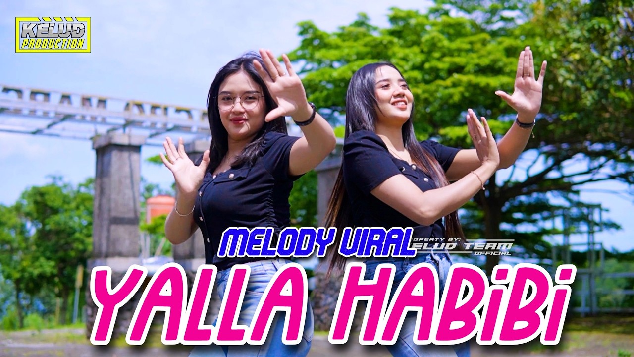 DJ MELODI VIRAL YALLA HABIBI X PSYCHO