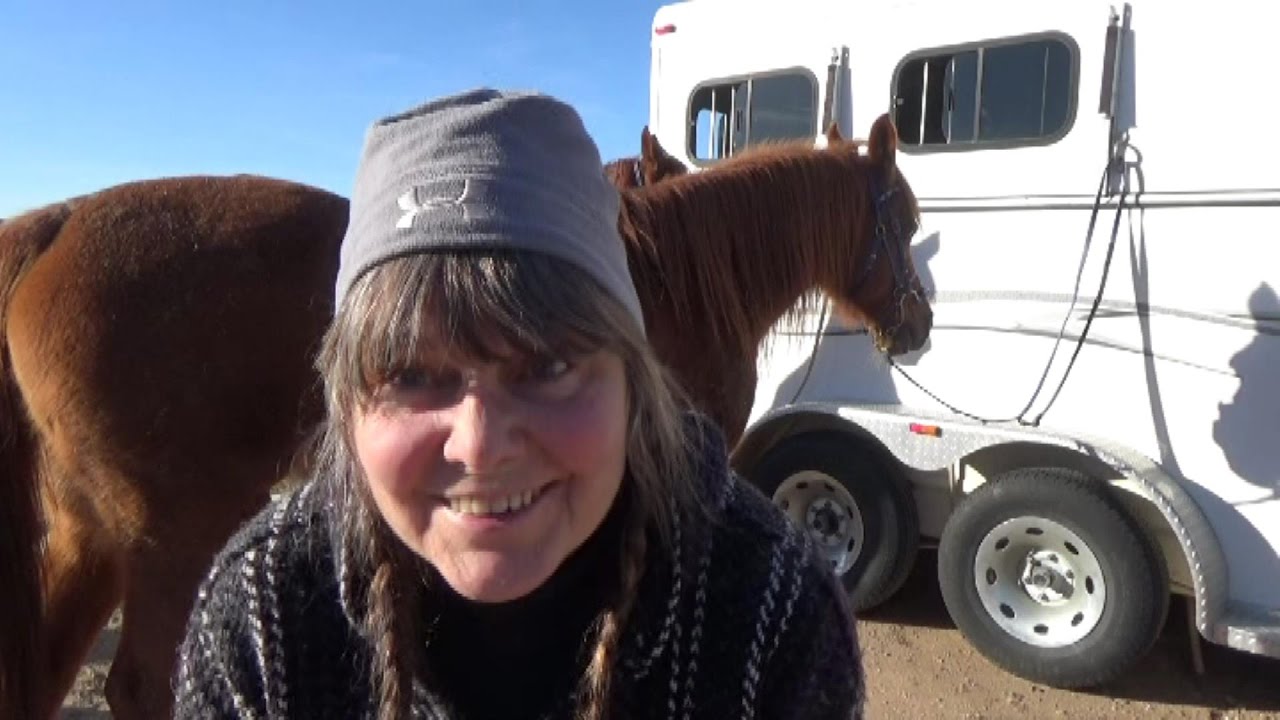 ASMR Slice Of Life ~ Relaxing Visit With The Horses 🐎 🐎