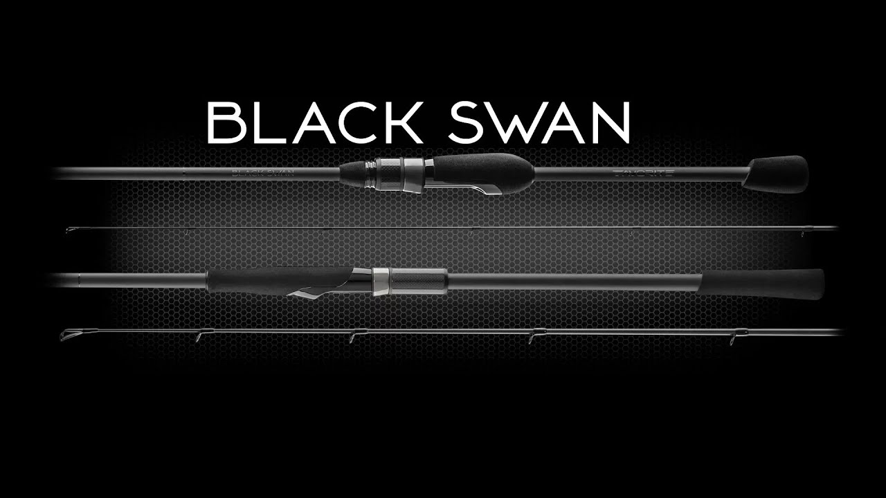 Favorite Black Swan