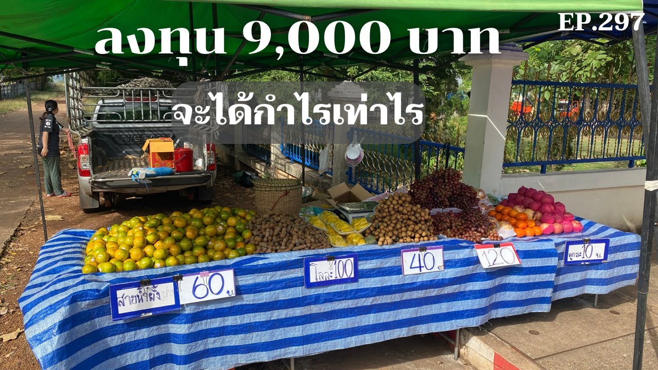 ลงทุนผลไม้ 9,000 บาท จะได้กำไรเท่าไร ในช่วงที่ผลไม้แพง นำ้มันแพง / เศรษฐี ไม่มีนาย EP.297