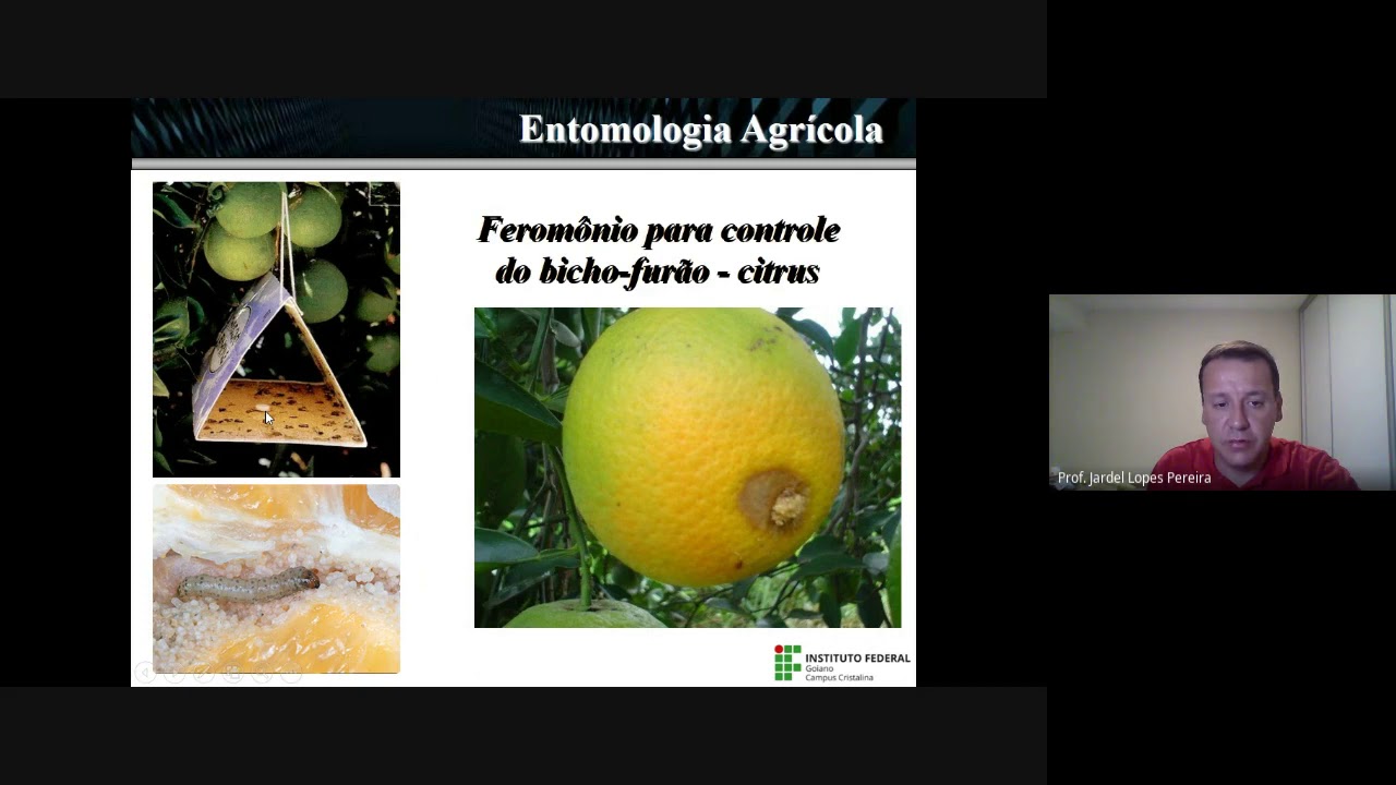 Aula Entomologia Agrícola  Controle Comportamental, Genético, Regulatório e Biológico de Pragas