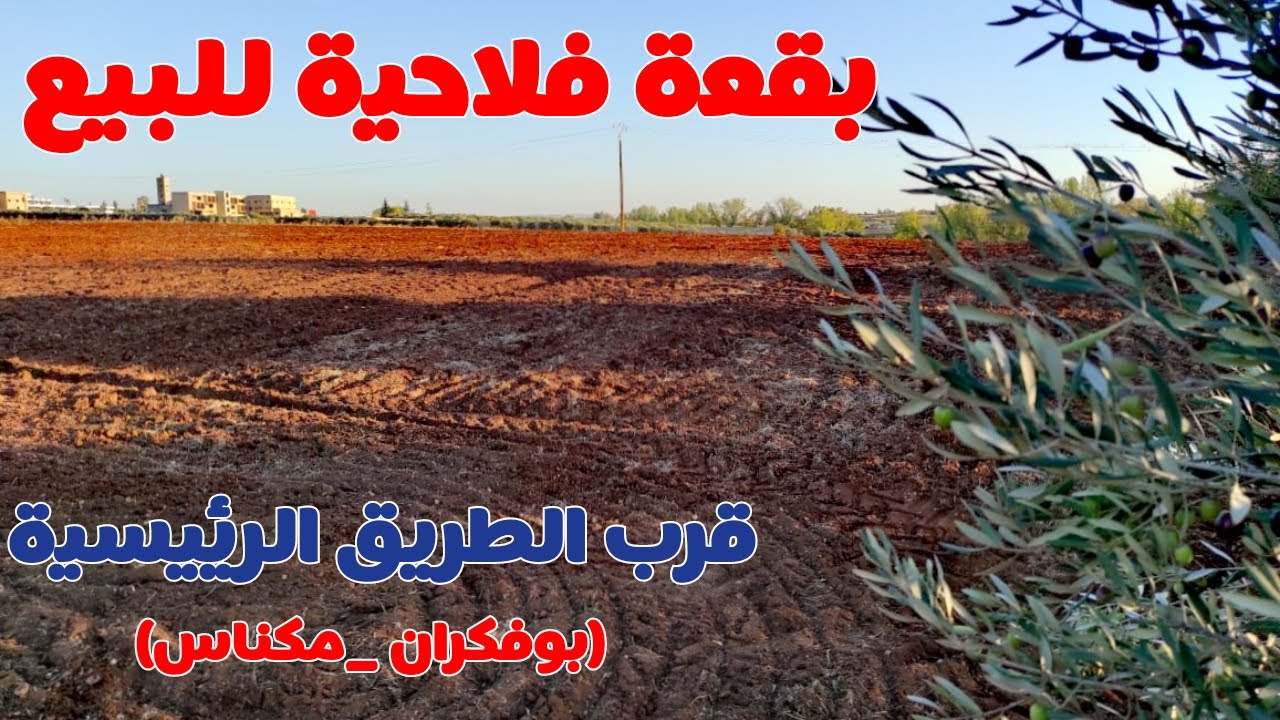 بقعة فلاحية للبيع 🌿نواحي مدينة مكناس بوفكران,منظر جميل 😍قرب شارع الرئيسي (مكناس_بوفكران),maroc