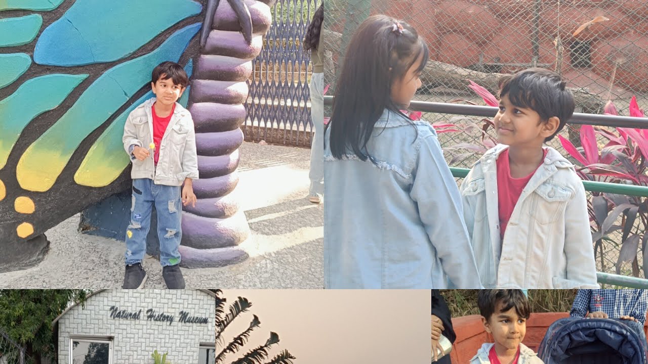 Zoo park Hyderabad vlog #nehruzoopark #trending #cutevoice 