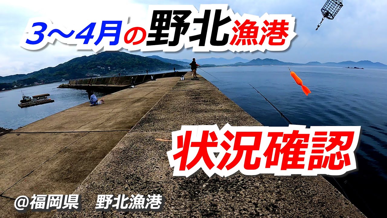 2025年3～4月　福岡県　野北漁港　釣行