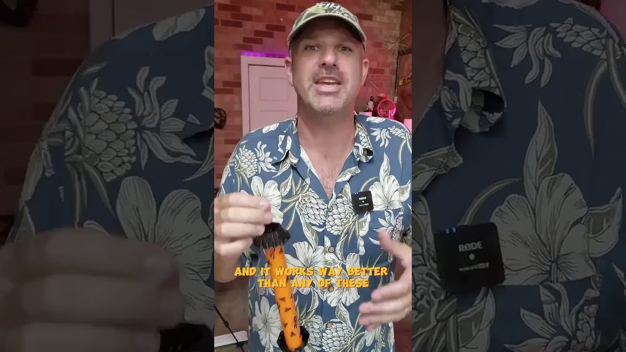 Homemade Fly Trap #lifehack #tipsandtricks #flies