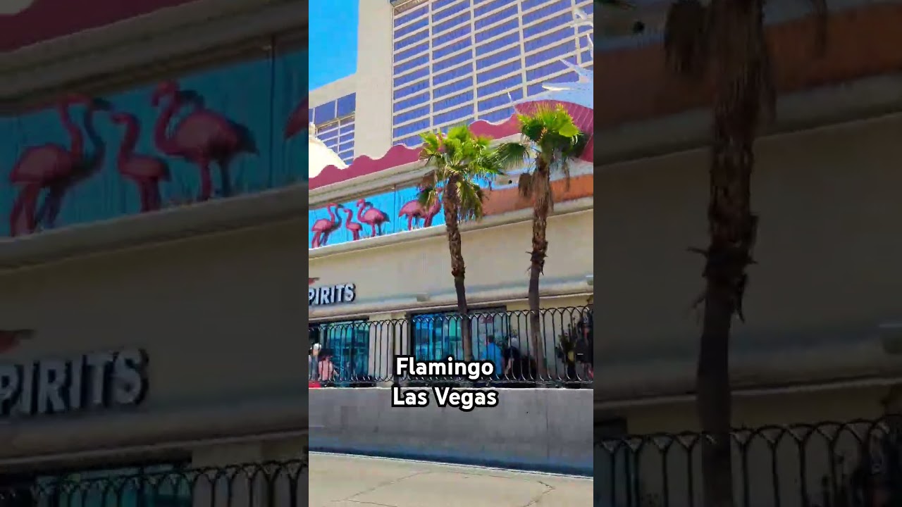 Flamingo Hotel & Casino | Las Vegas #flamingo #casino #hotel #lasvegas #lasvegasstriphotels