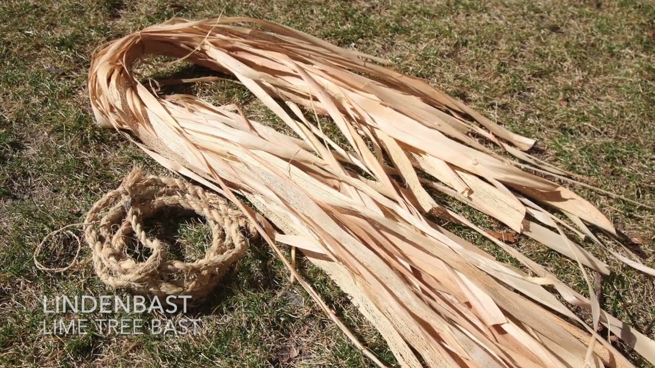 Ötzi Lindenbast | lime tree bast