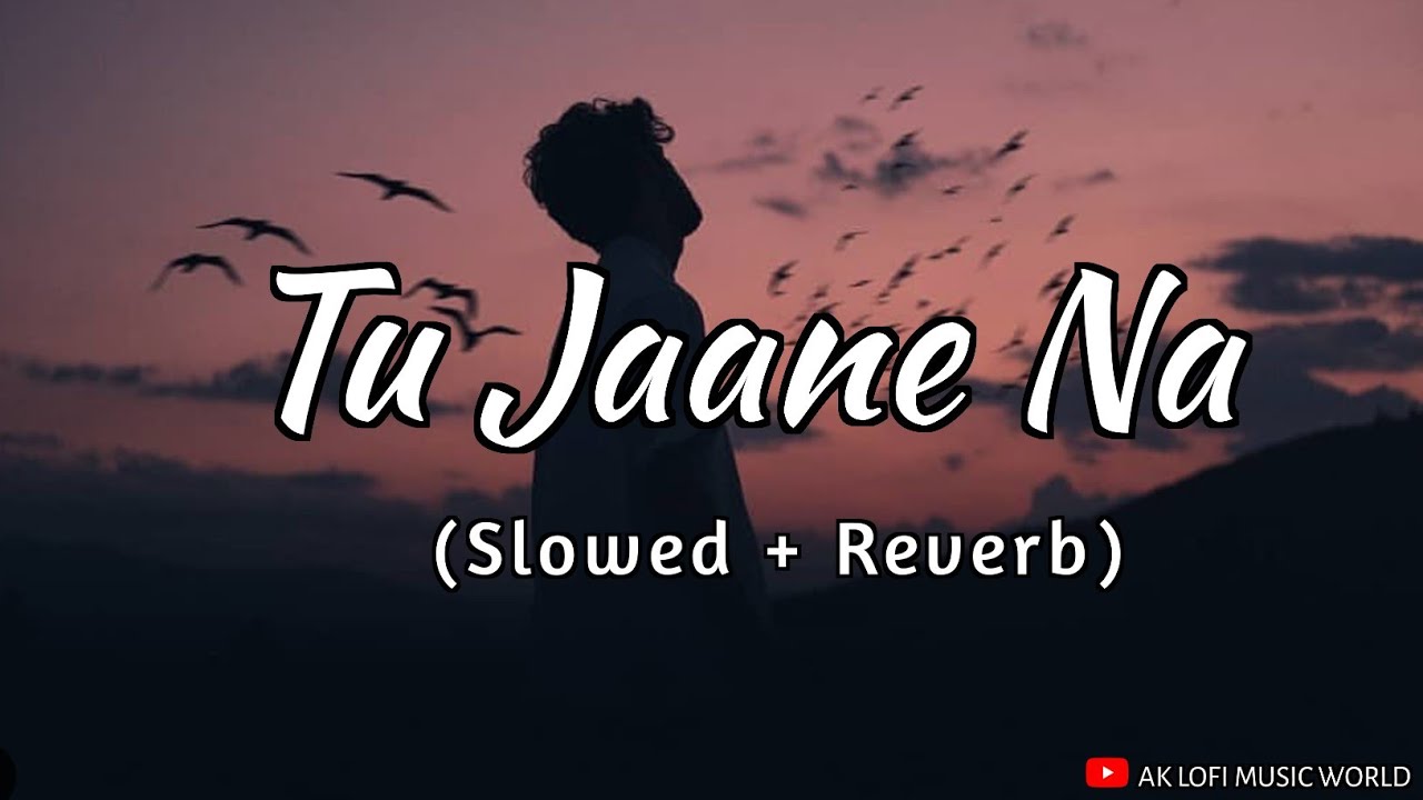 Tu jaane Na (Slowed + Reverb) Lofi Music | Atif Aslam | Use Headphones for better Experience,
