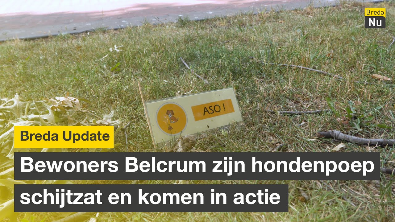 Bewoners Belcrum zijn hondenpoep schijtzat en komen in actie | Breda Update