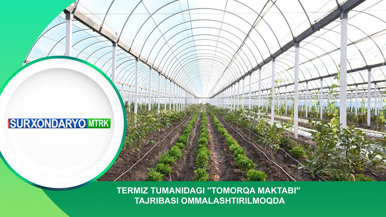 TERMIZ TUMANIDAGI ''TOMORQA MAKTABI'' TAJRIBASI OMMALASHTIRILMOQDA