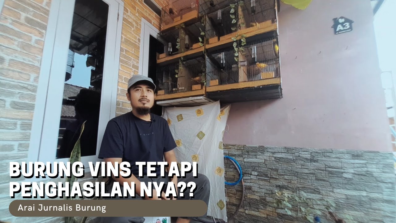 Vins Sang Pendatang Rejeki