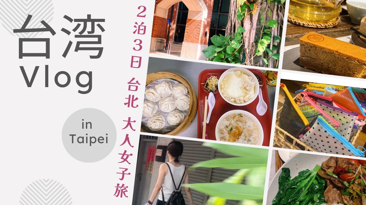 【中国語プチ講座付き】台湾2泊3日｜アラフォーの台北大人女子旅VLOG｜パイナップルケーキ食べ比べ🍍