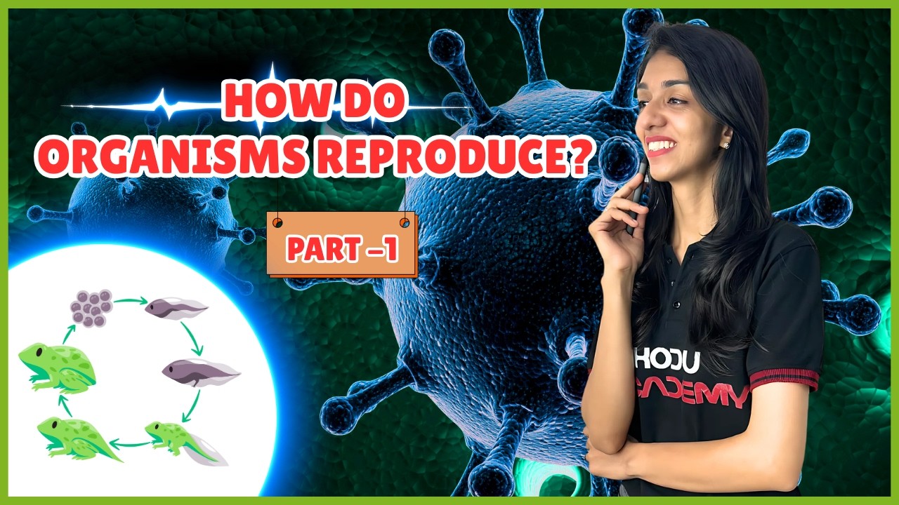 How Do Organisms Reproduce? Part 1 Class 10 Science ch 7 | Asexual Reproduction, DNA, Copying, Vari.