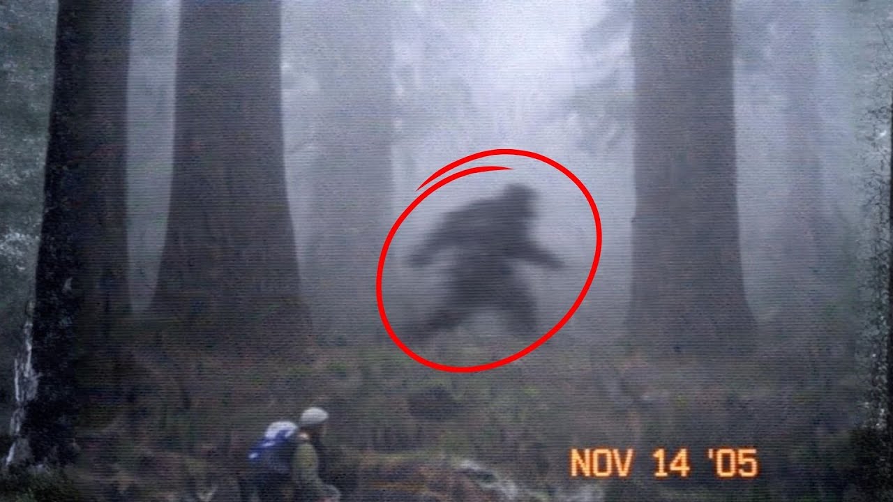 Why Are So Many Disappearances Leading Back to Northern California Forests?