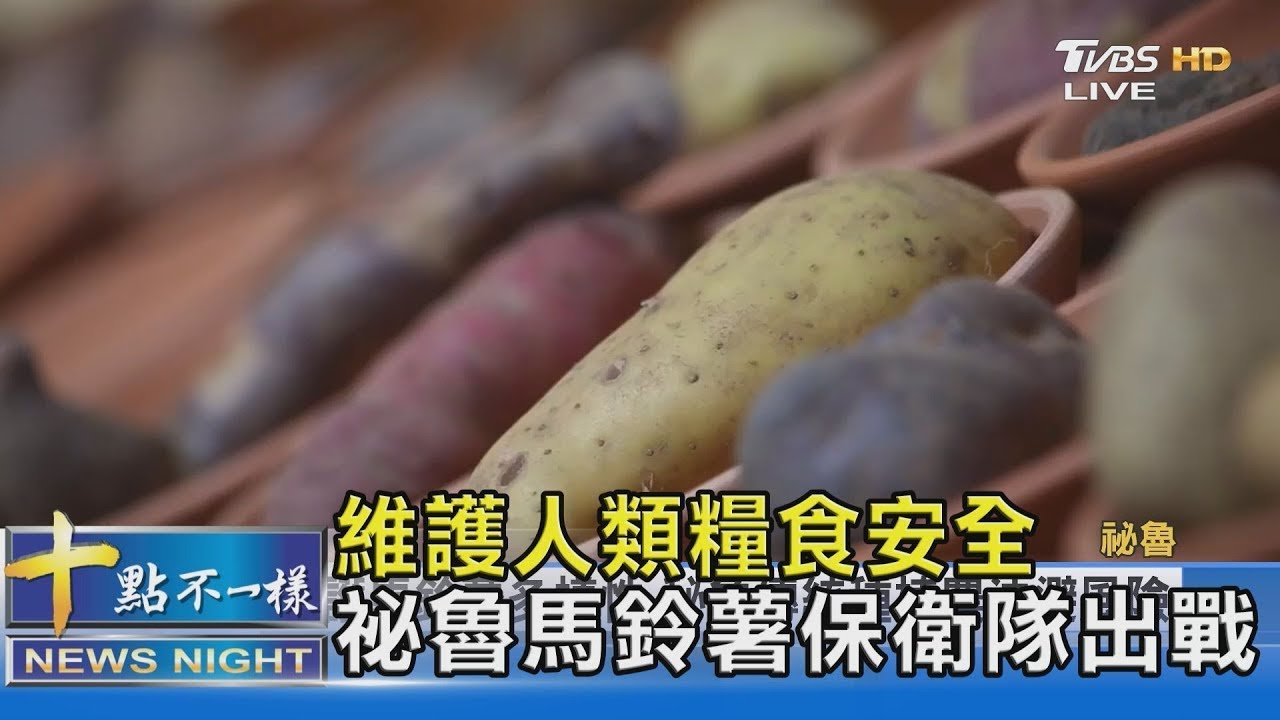 維護人類糧食安全 祕魯馬鈴薯保衛隊出戰｜十點不一樣20211202