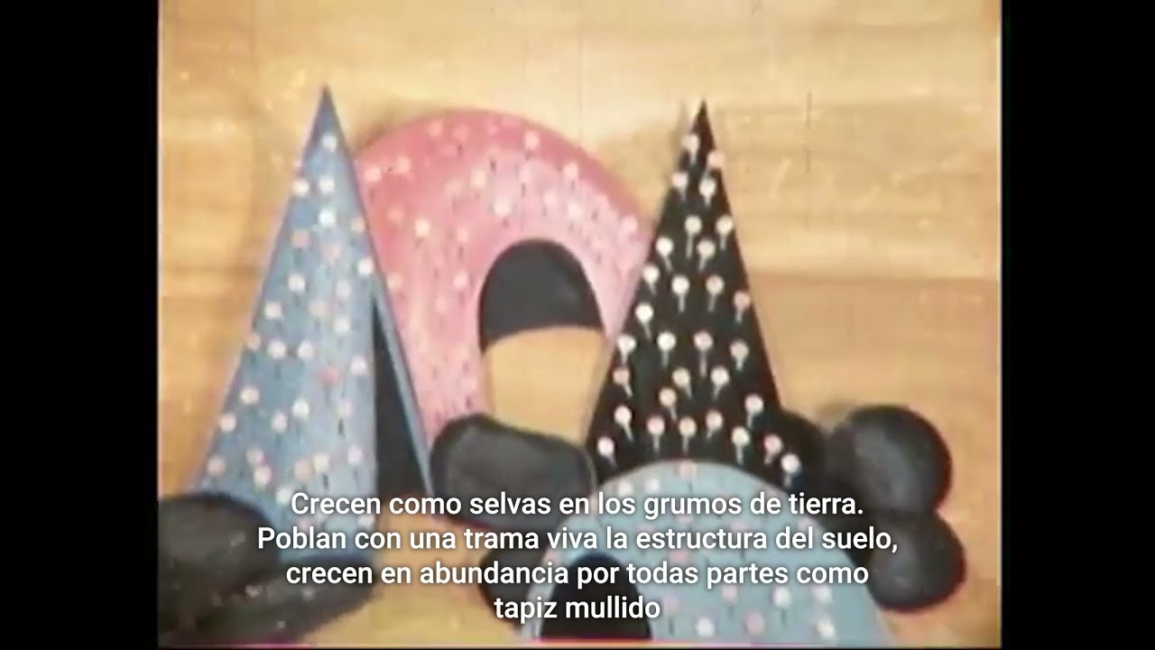 La Vida en el Suelo [Subtitulos Español]