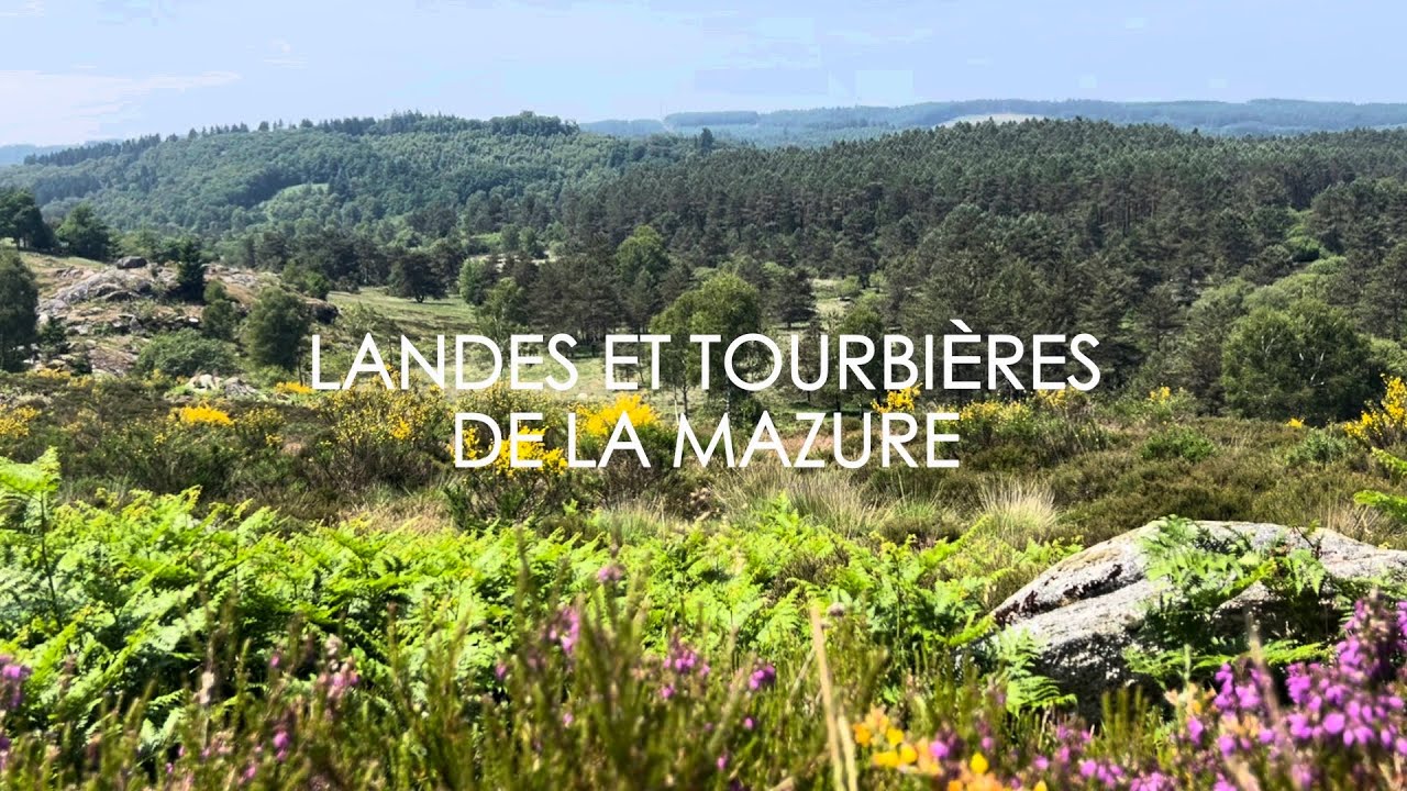 CREUSE TOURISME __ Landes et tourbières de la Mazure