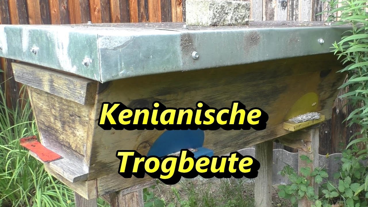 Kenianische Trogbeute