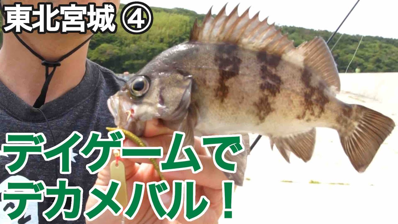 GO!GO!九ちゃんフィッシング #590　「東北第四話！田代島のメバル（前篇） 新感覚？ブラー＆パワーイソメ」