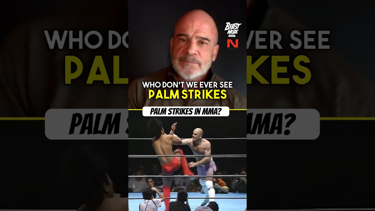 Why are palm strikes so effective? Bas Rutten explains!