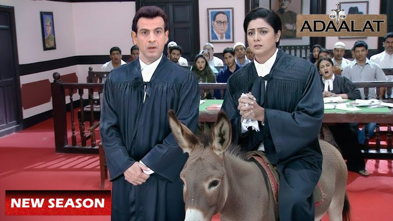 KD Pathak ने लेडी लॉयर को क्यों किया गधे पर बैठने के लिए मजबूर ? | Adalat Latest Episodes
