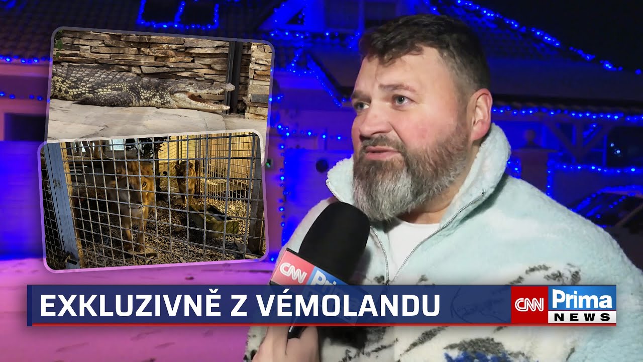EXKLUZIVNĚ: Lev byl chvíli nervózní, než si zvykl, říká Vémolův kamarád, který krmí zvířata