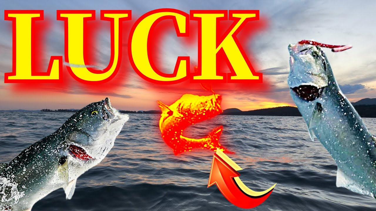 Lucky Seven Kinds of Fish Greece Spinning! Get In!