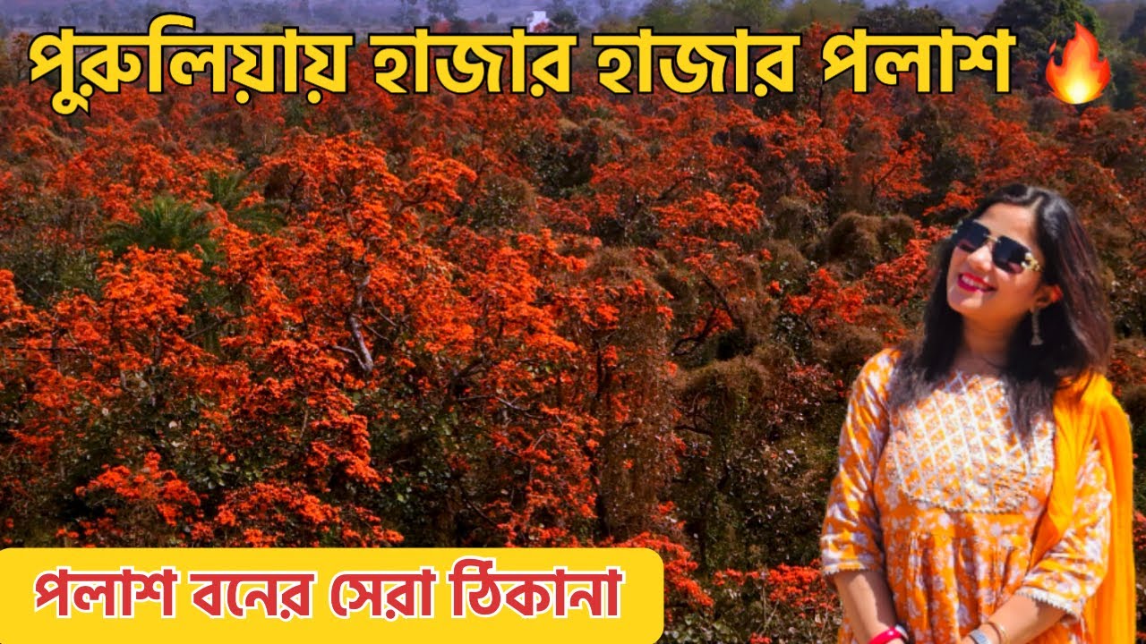 পুরুলিয়ার আগুন রঙা Palash Forest 🌺 কোথায় পাবেন? Stay + Scenic Route Guide
