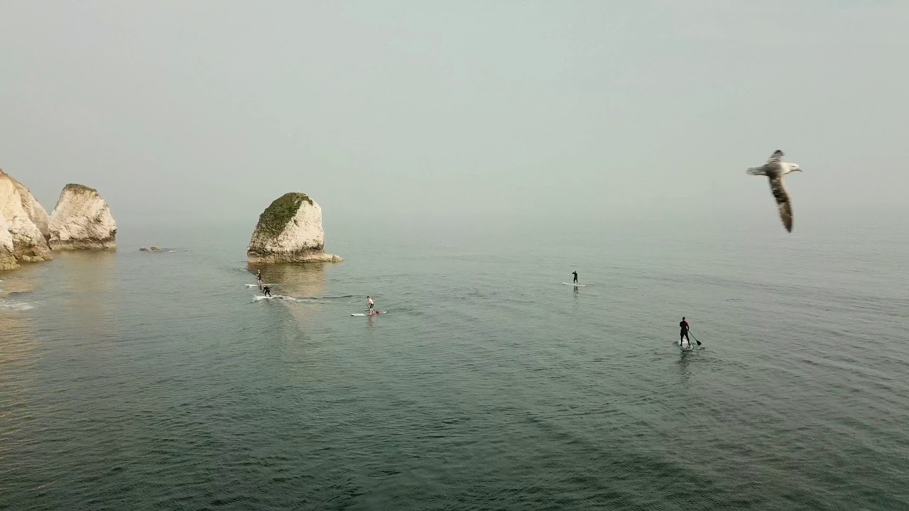 Freshwater Surf