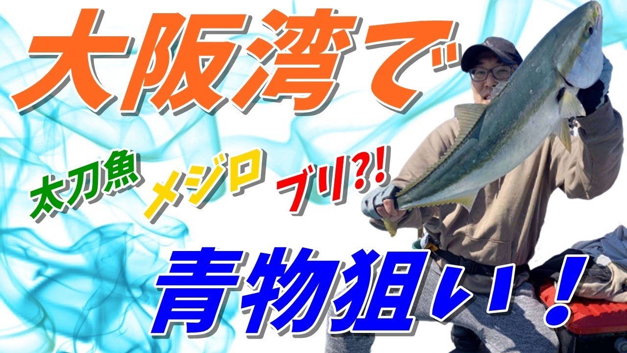 大阪湾太刀魚メジロジギング！