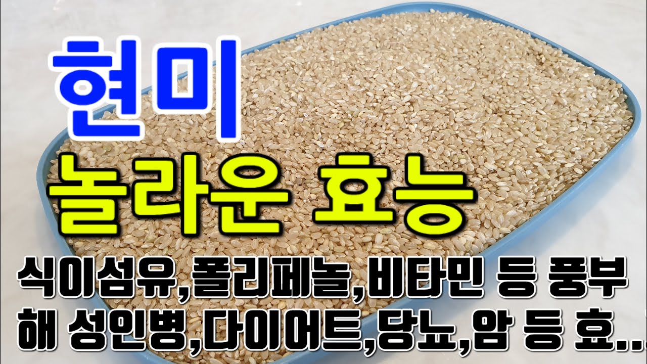 [현미 효능] 