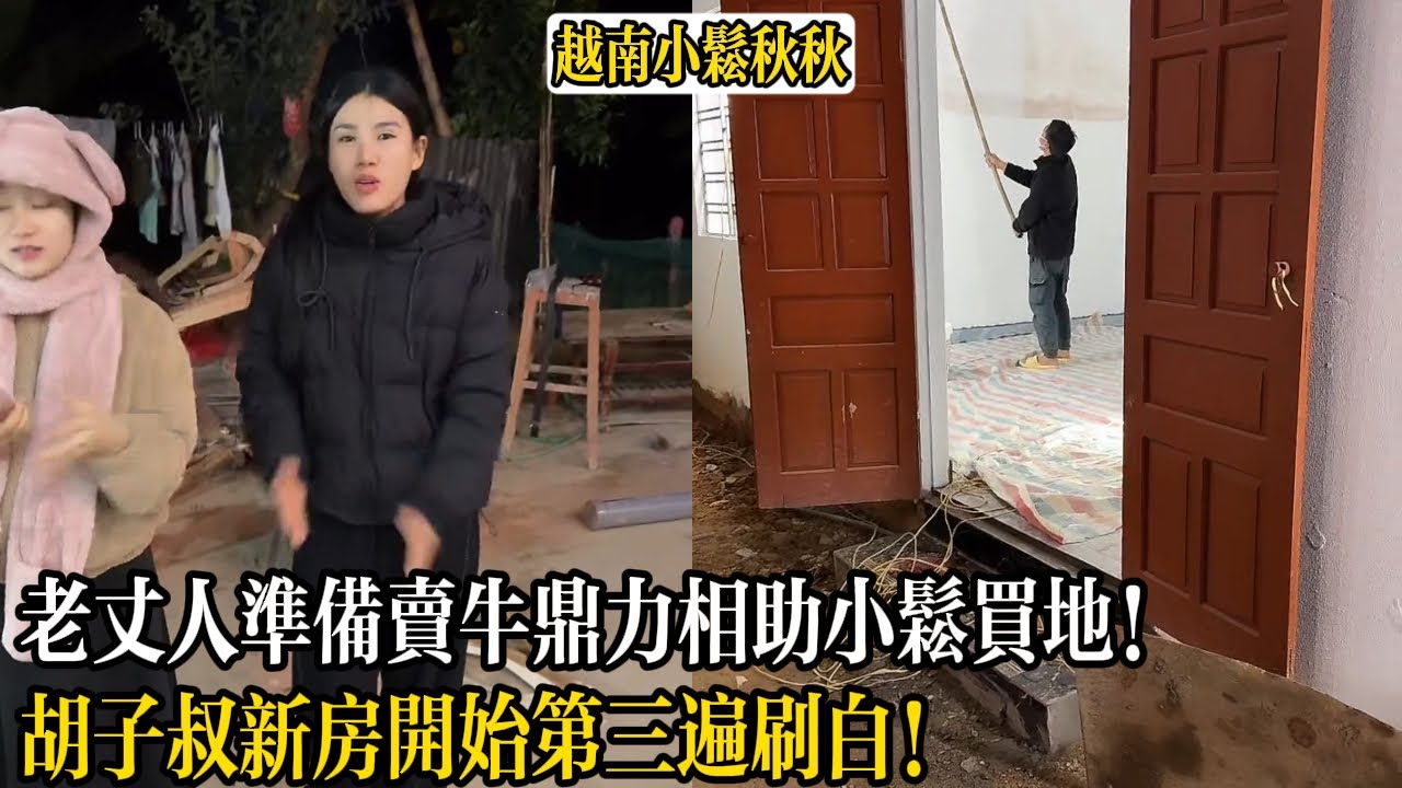 老丈人準備賣牛鼎力相助小松買地！胡子叔新房開始第三遍刷白！【小松秋秋生活日常】