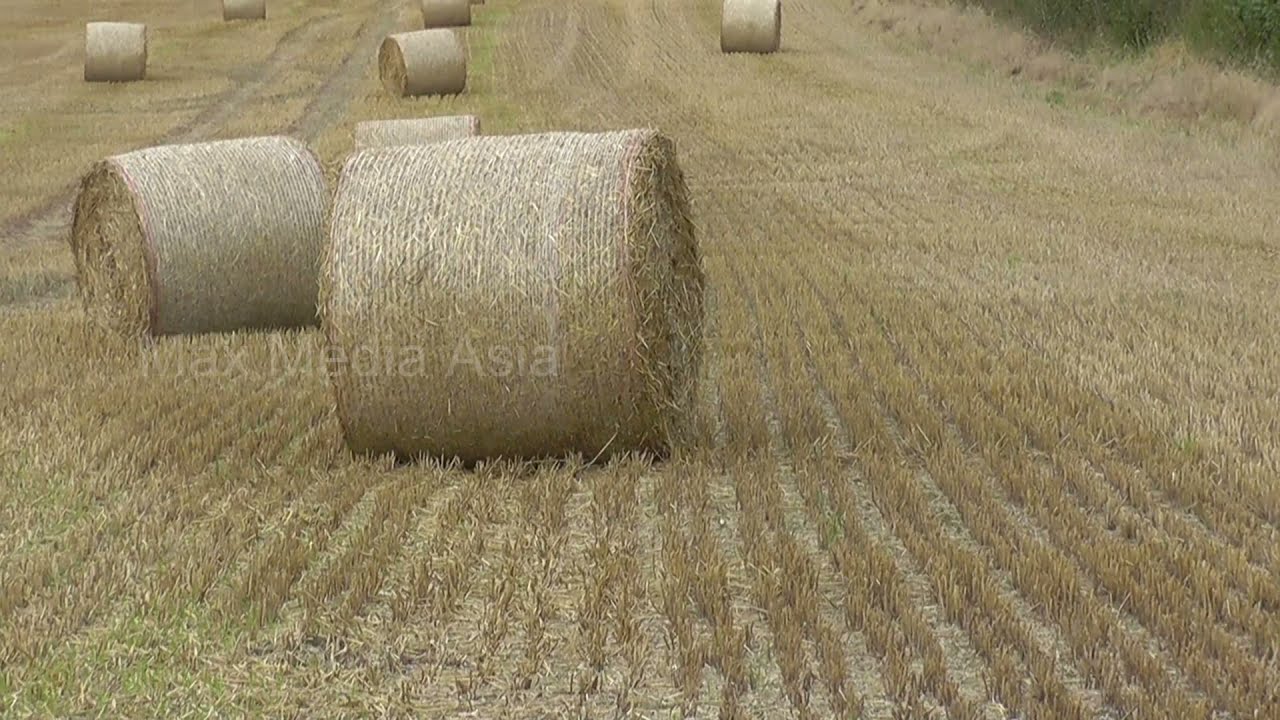 UK Farming in Britain Hay Bales in Cotswolds Countryside
