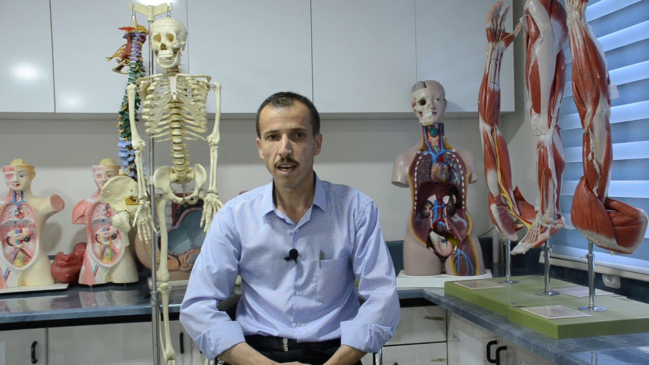 Technical College of Health7 ناساندنی به‌شی ته‌كنیكی بێهۆشكاری له‌ كۆلێجی ته‌كنیكی ته‌ندروستی